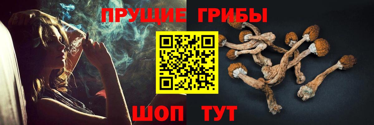 Галлюциногенные грибы Psilocybe Рузаевка