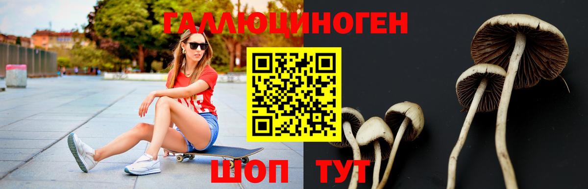 Галлюциногенные грибы GOLDEN TEACHER  Вход с VPN  Рузаевка 
